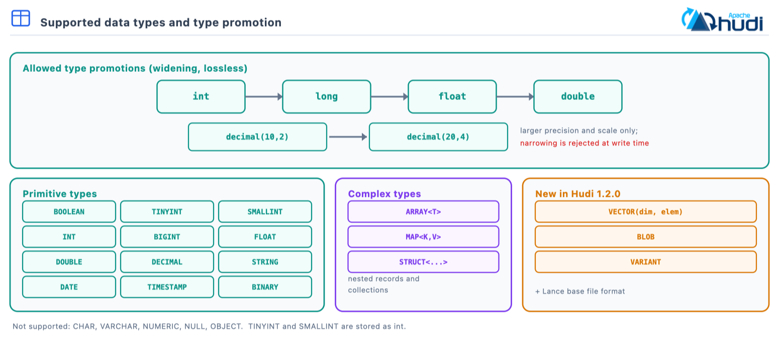 Widening promotions from int to long to float to double and decimal to larger precision, alongside the primitive, complex and 1.2.0 type categories